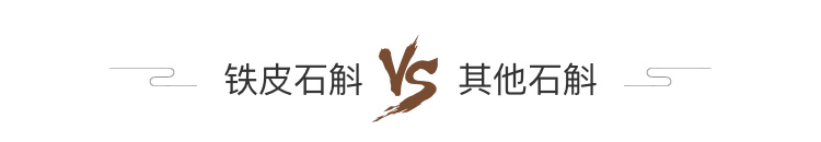 铁皮石斛 VS 其他石斛